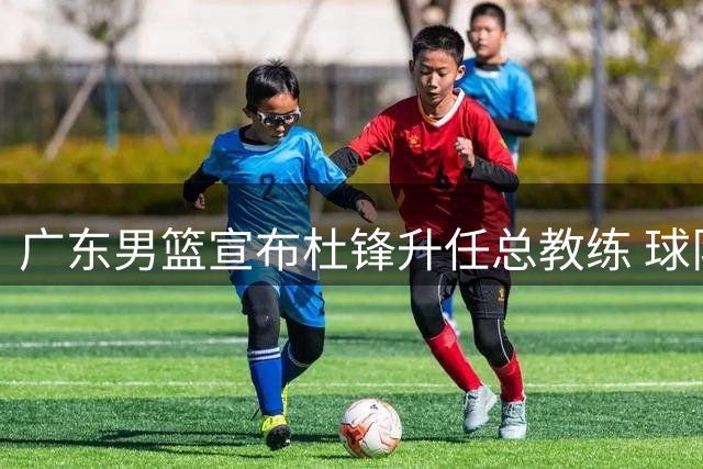 广东男篮宣布杜锋升任总教练 球队启动新教练组筹建