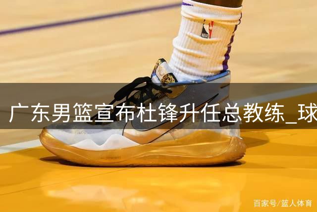 广东男篮宣布杜锋升任总教练 球队启动新教练组筹建